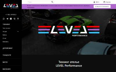 Website preview for LEVEL Performance
