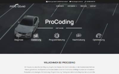 Website preview for ProCoding