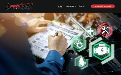 Website preview for PRO PAINT Cars