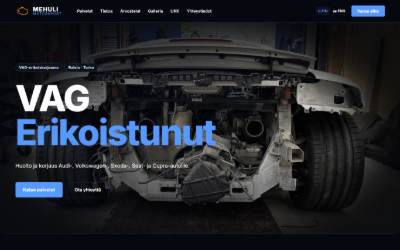 Website preview for Mehuli Oy