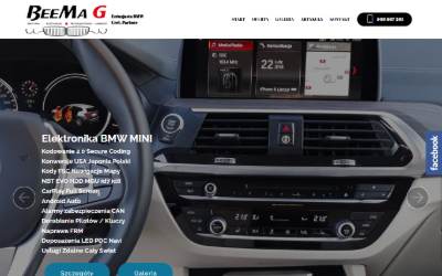 Website preview for Beemag Grzegorz Olejniczak