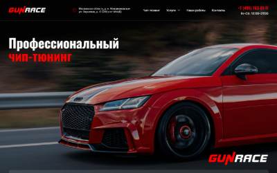 Website preview for GunRace
