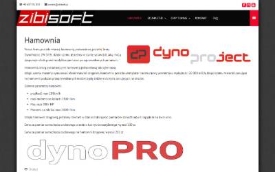 Website preview for ZIBISOFT