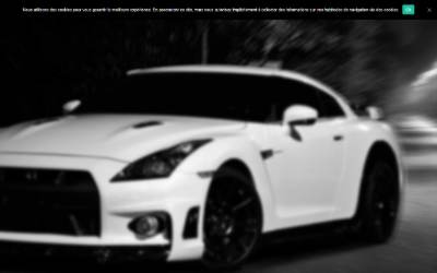 Website preview for Swaparts dlp