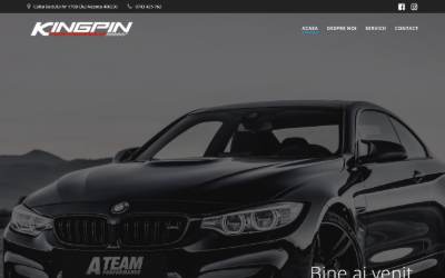 Website preview for SC King Pin SRL