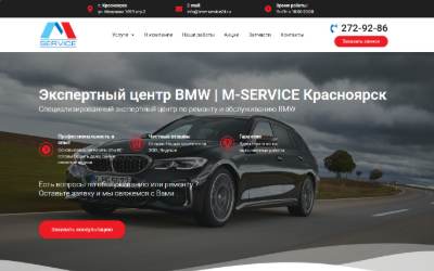 Website preview for M-Service