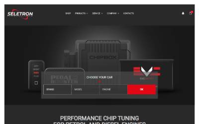Website preview for Seletron Srl