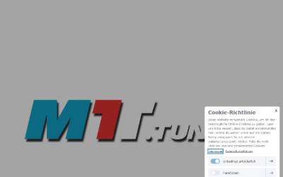 Website preview for MT-Tuning