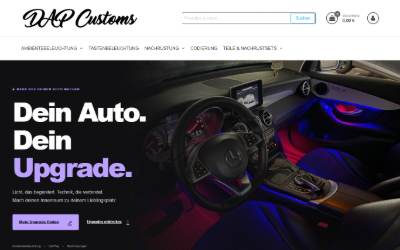 Website preview for DAP Customs
