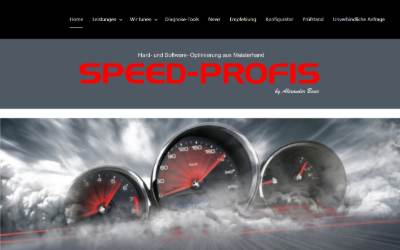 Website preview for SPEED-PROFIS