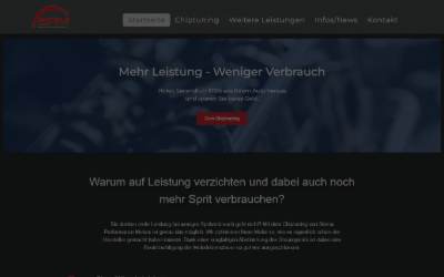 Website preview for SPM - Steina Performance Motors