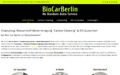 Website preview for BioCarBerlin | Chiptuning | Kfz-Gutachter | Carbon Cleaning