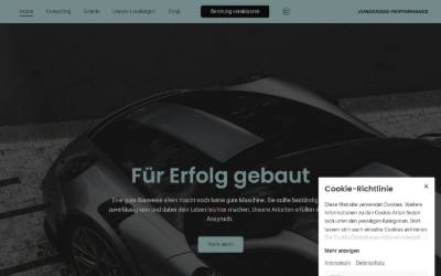 Website preview for Underdog-Performance