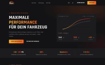 Website preview for Stage 1 Performance