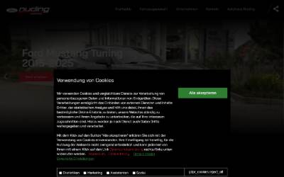 Website preview for Nuding Performance
