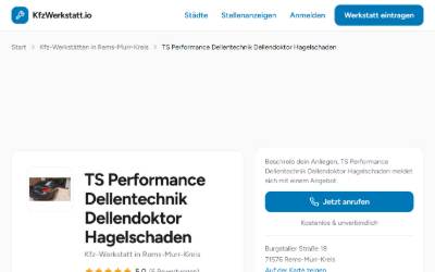 Website preview for TS Performance Dellentechnik Dellendoktor Hagelschaden