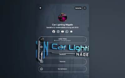 Website preview for Car Lighting Nägele