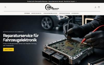 Website preview for Eisenhauer Performance