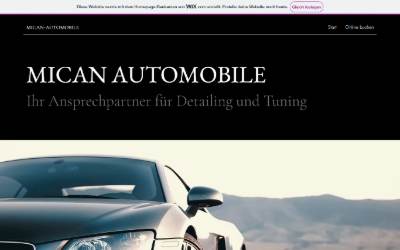 Website preview for Mican Performance