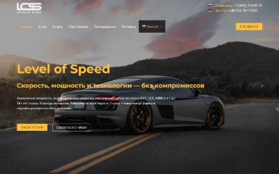 Website preview for Level of Speed