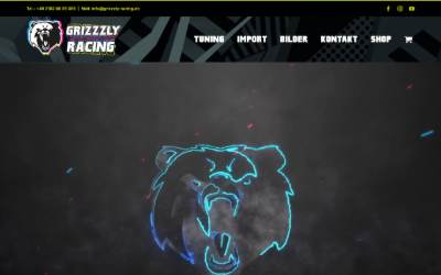 Website preview for Grizzzly Racing