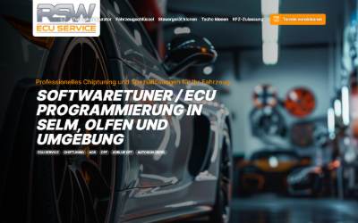 Top of the website for RSW-ECU Service
