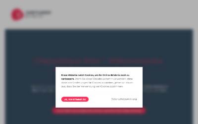 Top of the website for Chiptuning Express Wien