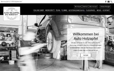 Top of the website for KFZ-Werkstatt | Chiptuning Holzapfel