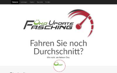 Website preview for Öko Update Fasching
