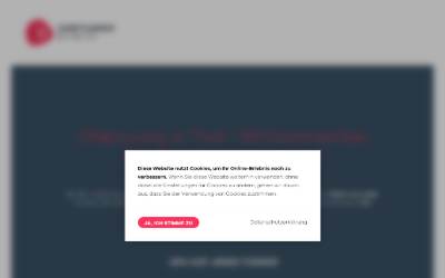 Website preview for Chiptuning Express Tirol
