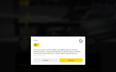 Website preview for Motovision Carperformance