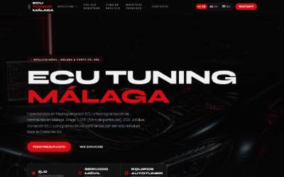 Website preview for ECU Tuning Málaga | Reprogramación ECU, DPF EGR AdBlue