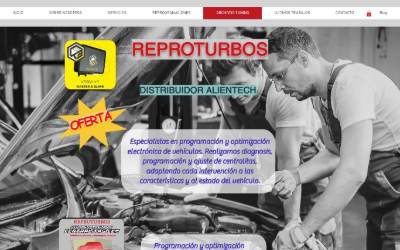 Top of the website for REPROTURBOS REPROGRAMACIÓN Y REPARACIÓN HÍBRIDOS Y ELÉCTRICOS