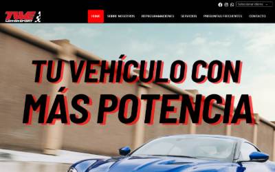 Top of the website for TWEmotorsport - España Reprogramación de Centralitas Motor Coches