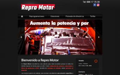 Website preview for REPROGRAMACIÓN CENTRALITAS: Repro Motor