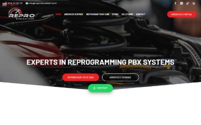 Website preview for REPRO EUSKADI - REPROGRAMACIÓN DE CENTRALITAS EN BILBAO