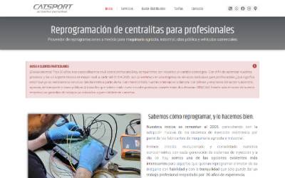Top of the website for CATSPORT - Reprogramación de centralitas