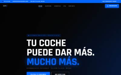 Website preview for VDN Performance - Reprogramaciones de coche en Madrid