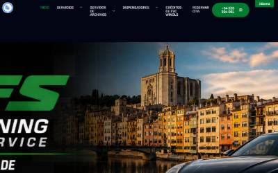 Top of the website for CHIPTUNING FILES SERVICE SL - Reprogramación de la ECU