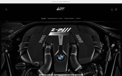 Top of the website for Z-Performance