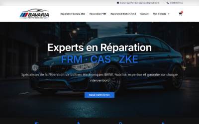 Top of the website for Bavaria Performance Group