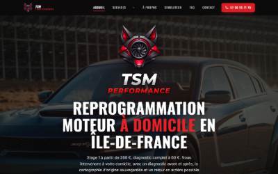 Top of the website for TSM Performance