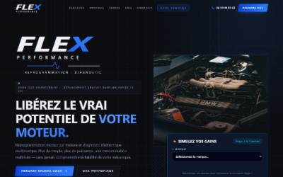 Top of the website for FLEX PERFORMANCE | Reprogrammation & Diagnostic (77)