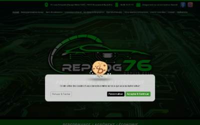 Top of the website for REPROG 76