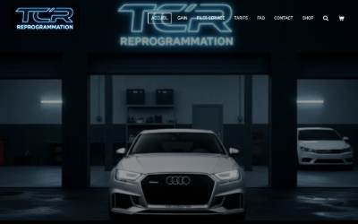 Top of the website for TCR Reprogrammation