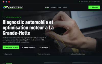 Top of the website for Flexperf Reprogrammation moteur - Ethanol Flexfuel E85