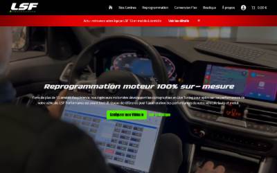 Top of the website for LSF Performance 13