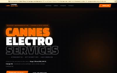 Top of the website for Cannes Reprogrammation moteurs et clés