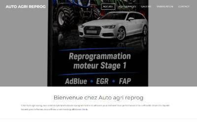 Top of the website for Auto Agri Reprog