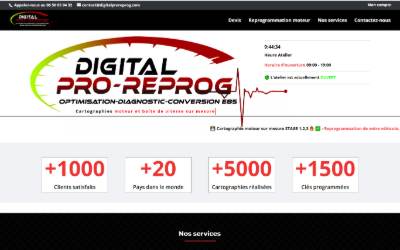 Top of the website for Digital Pro Reprog